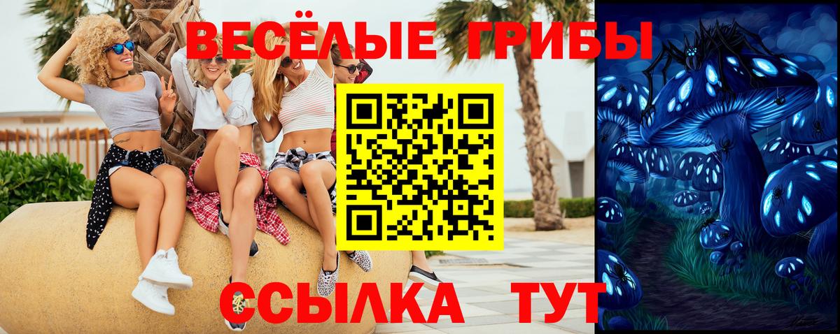 Галлюциногенные грибы Cubensis Нерюнгри